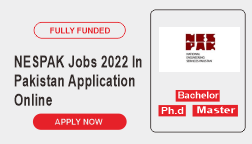 NESPAK Jobs 2022 In Pakistan