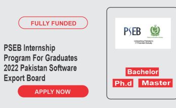 PSEB Internship Program For Graduates 2022 | Pakistan Software Export Board