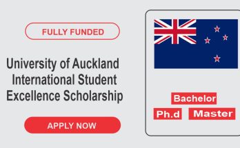 Auckland International Excellence Scholarship