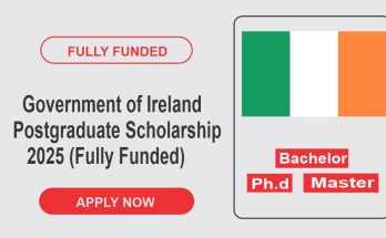 Government Ireland Scholarship