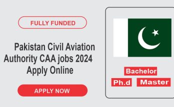 PCAA Job 2024