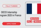 OECD Internship France