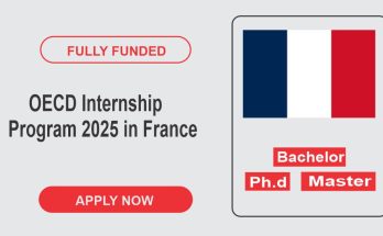 OECD Internship France