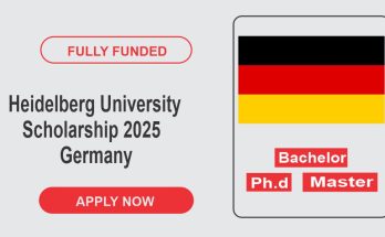 Heidelberg Scholarship