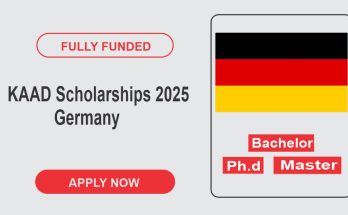 KAAD Scholarships