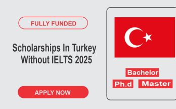 Scholarships Turkey